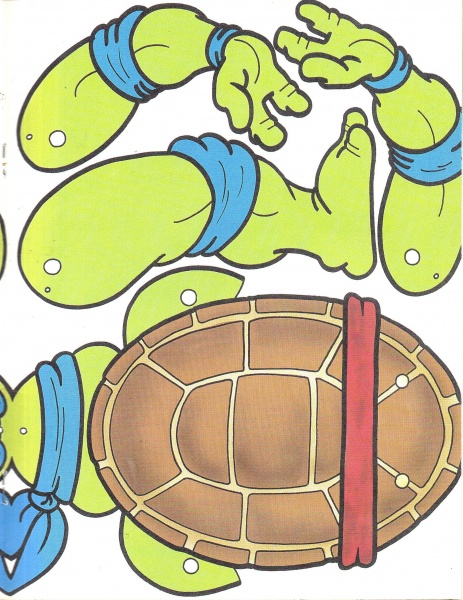 41