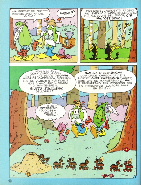 80