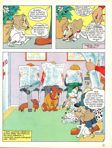 31