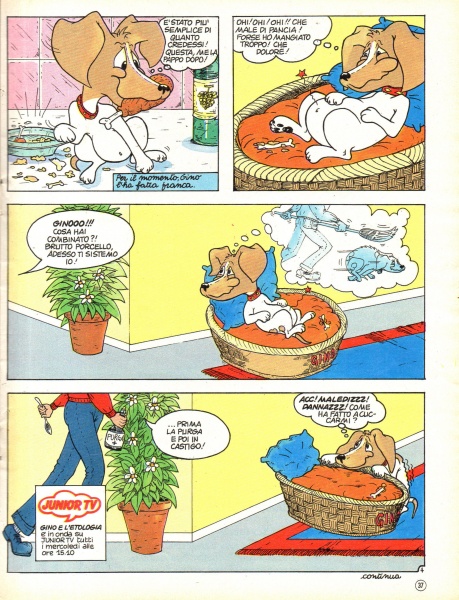 37