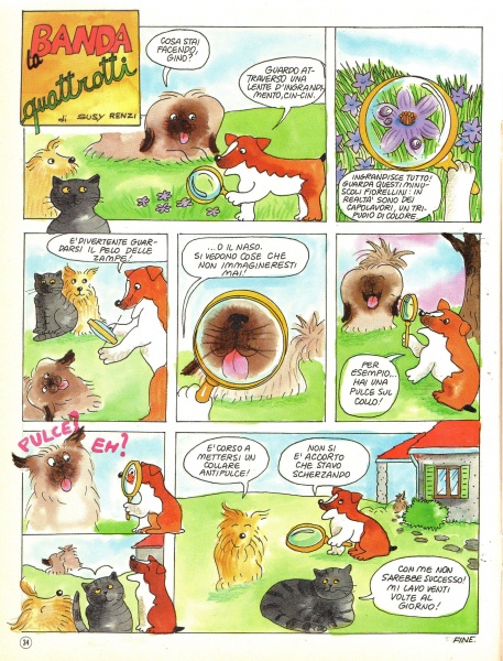 34