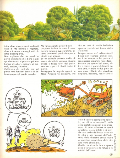 31