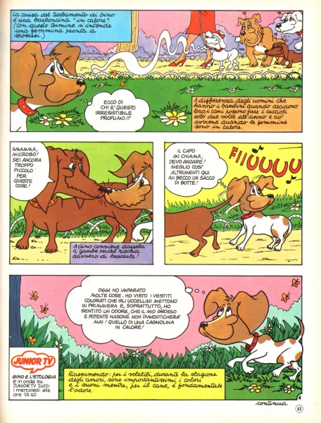 63
