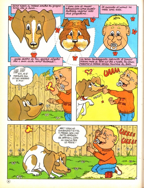 26