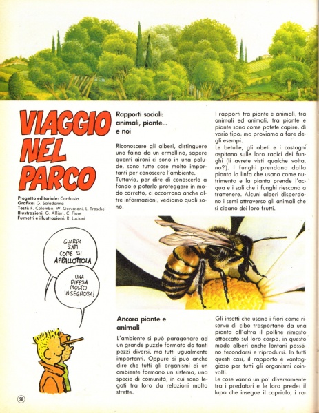 28