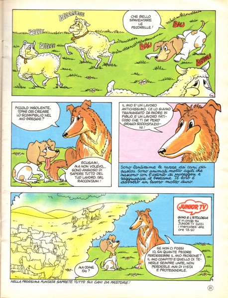 31