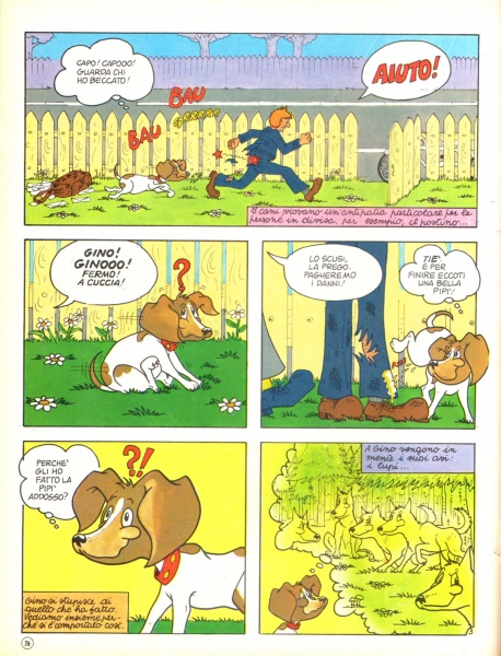 26