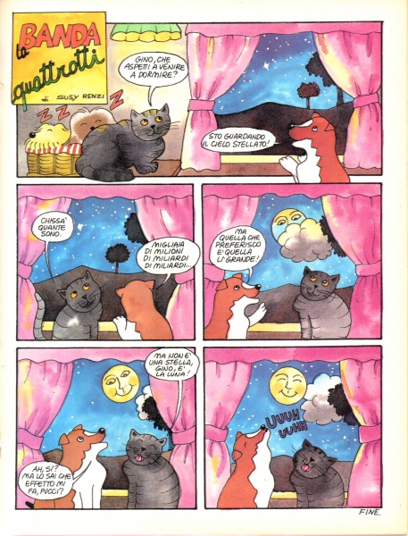 41