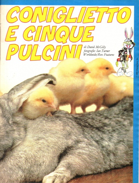 29