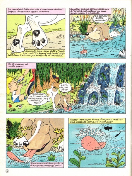 26
