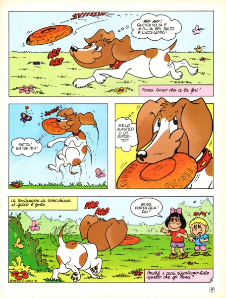 19