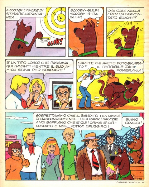 41