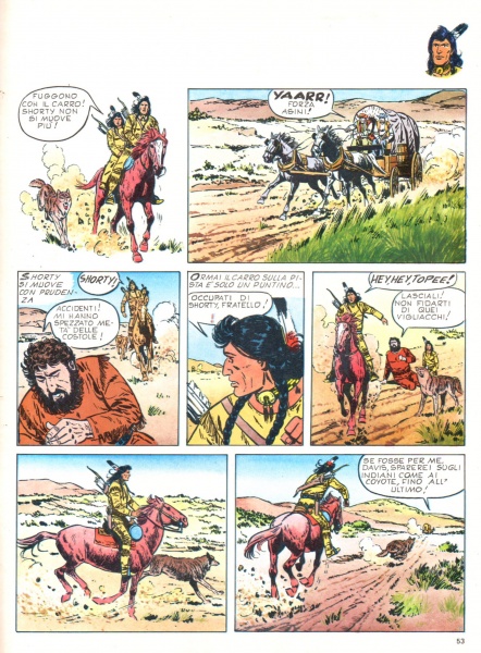 53