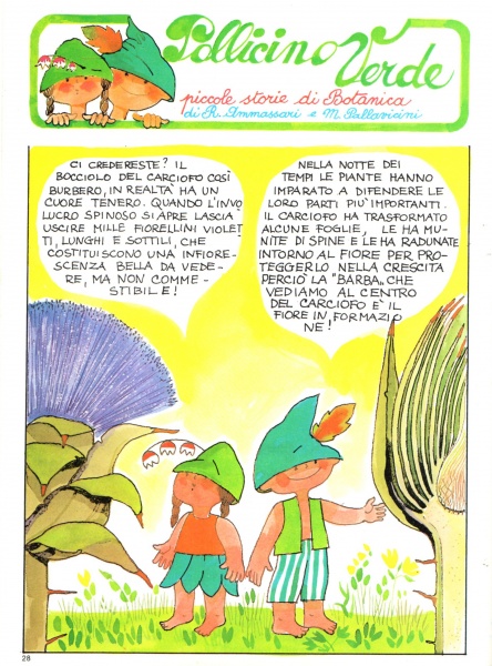 28