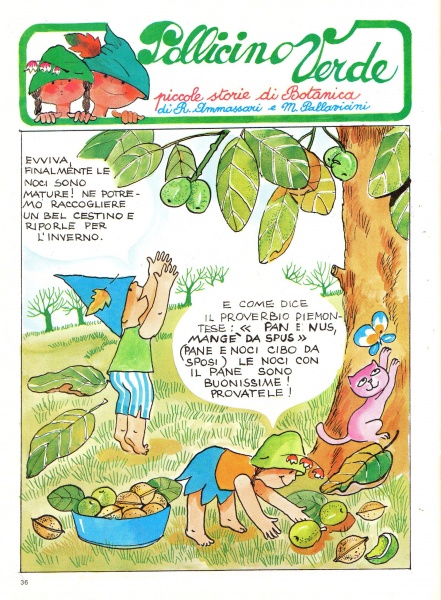 36