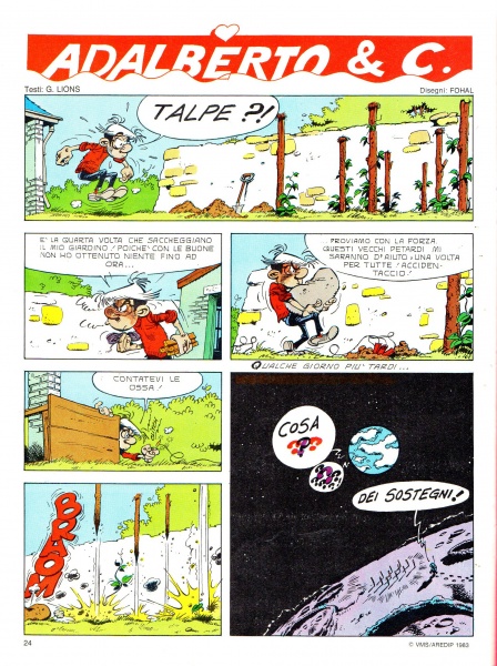 24