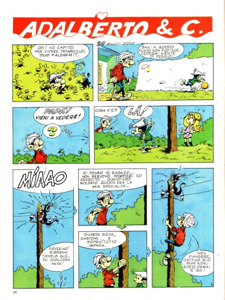 26