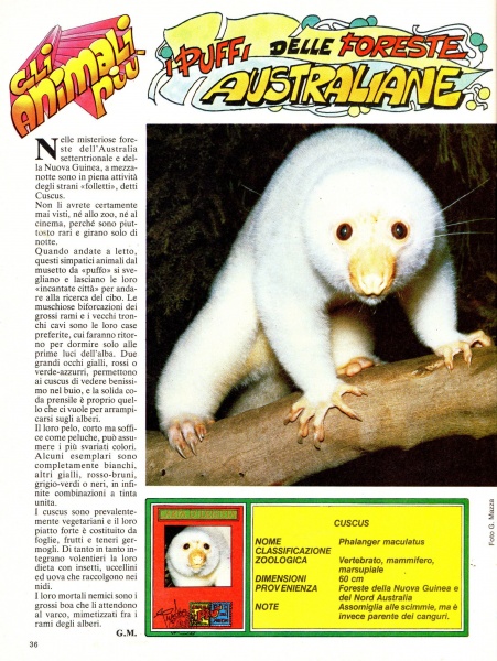 36