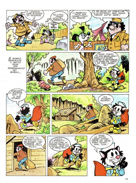 23