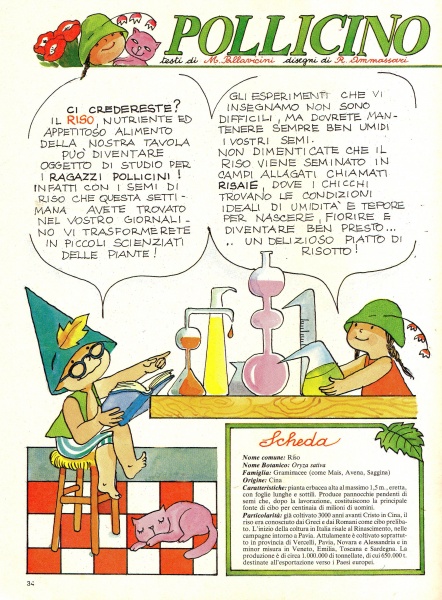 34