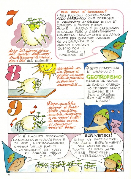 36