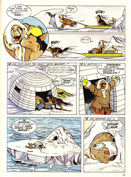 43
