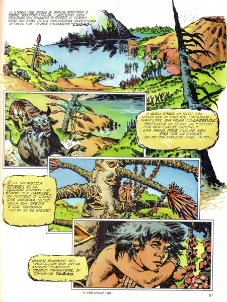 51