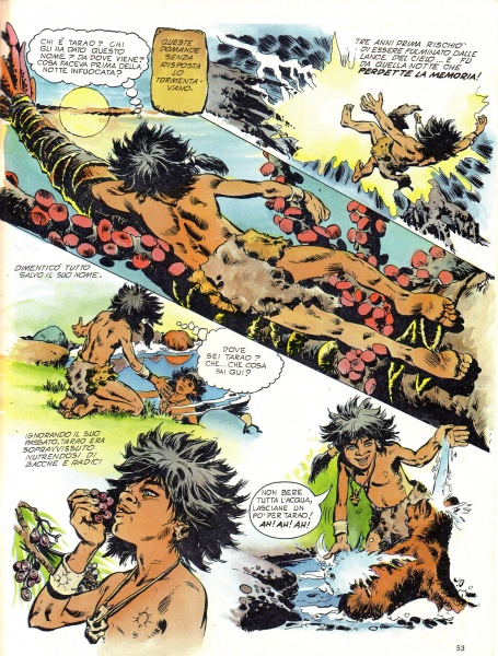 53