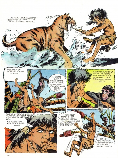 54