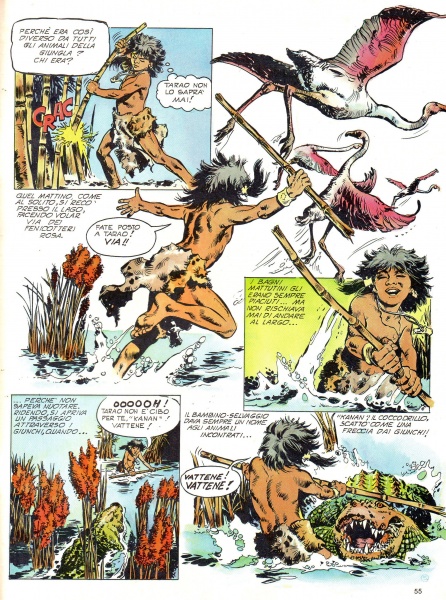 55