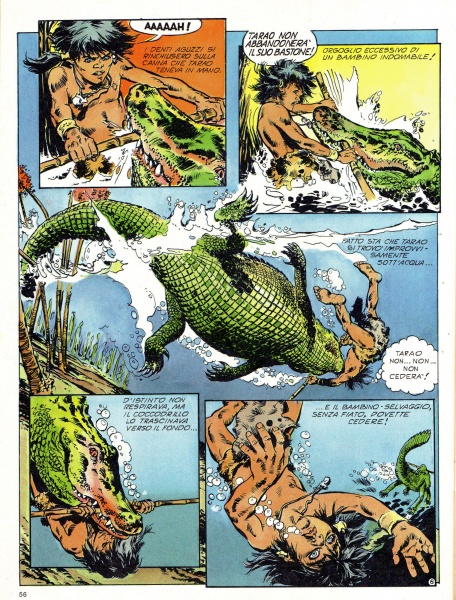 56