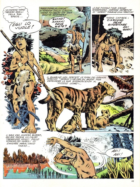 49