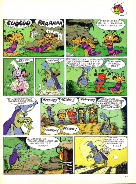 43