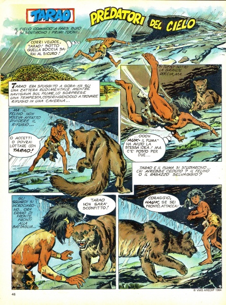 46