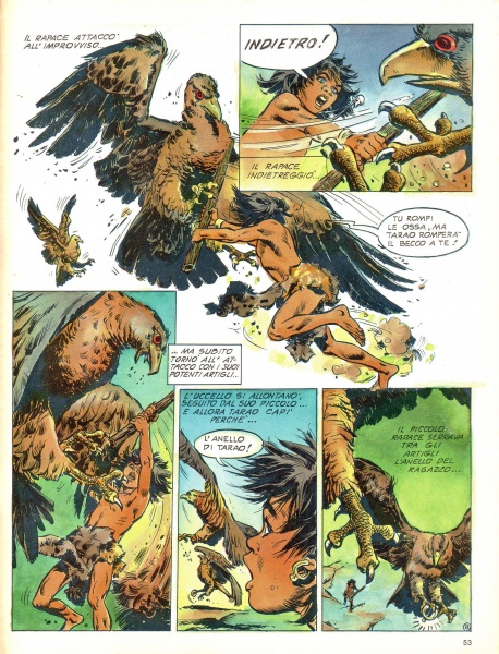 53