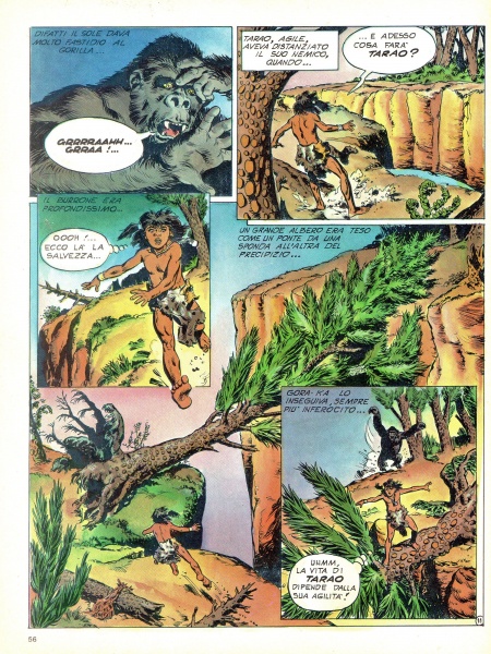 56