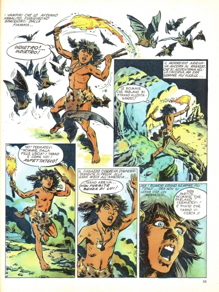 55