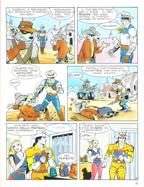 23