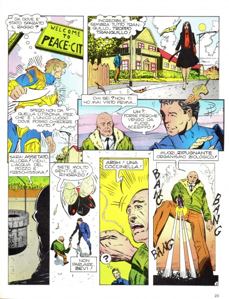 23