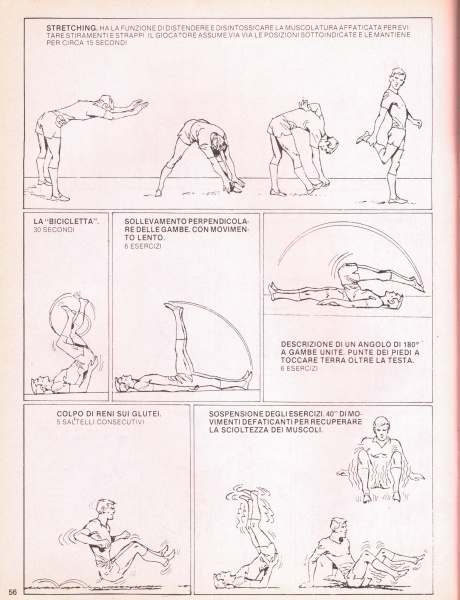 56