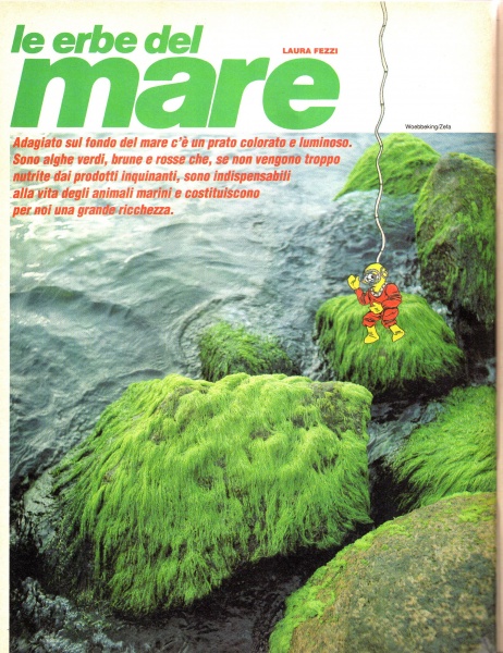 88