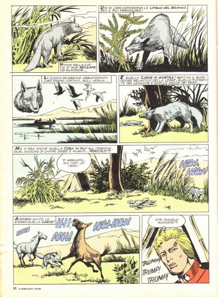 60