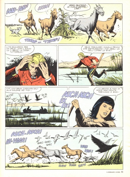 61