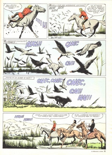 63
