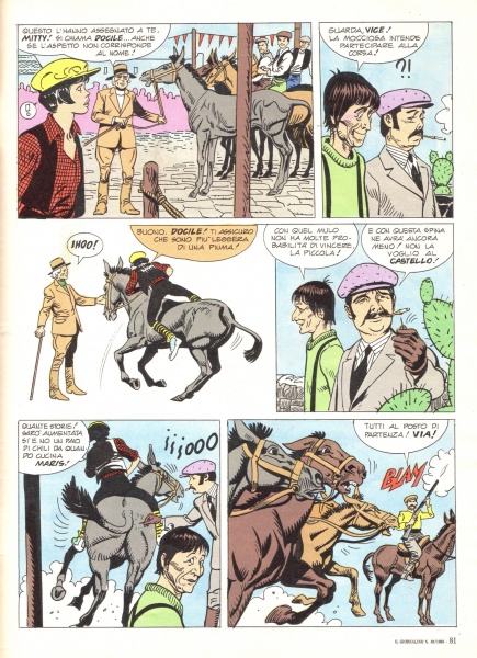 81