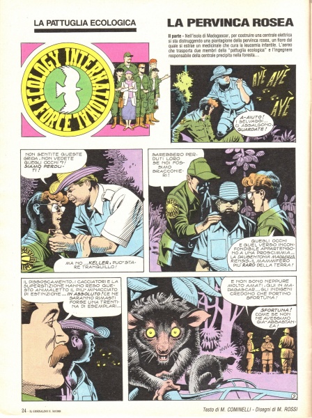 24