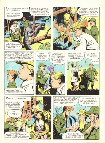 25