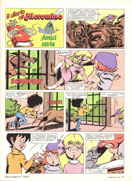 81