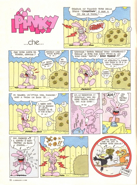 24