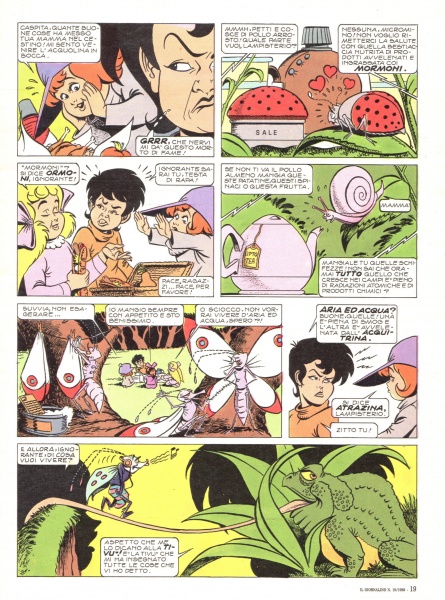 19